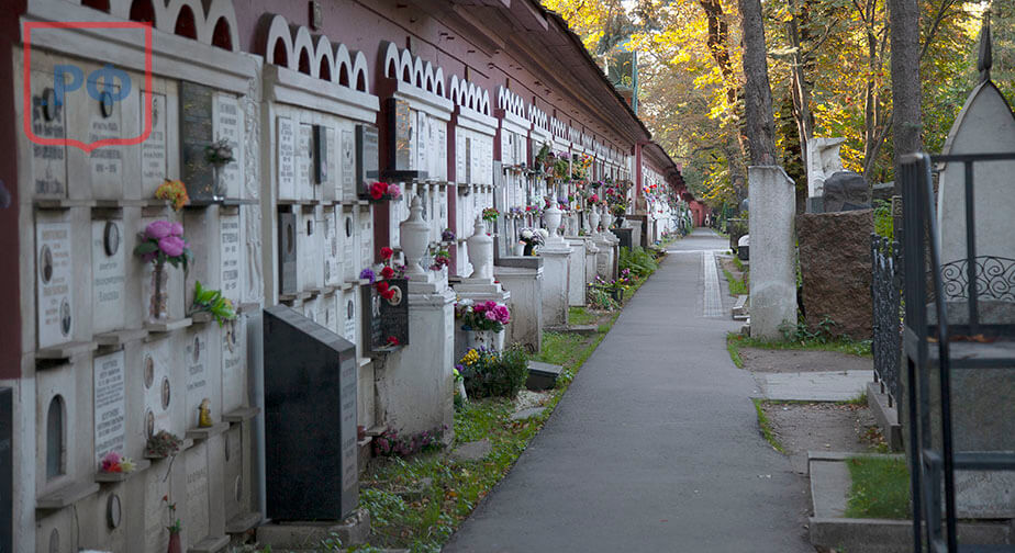 Новодевичье