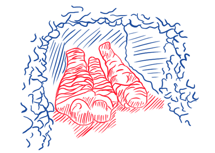 Самые старые кладбища на территории России