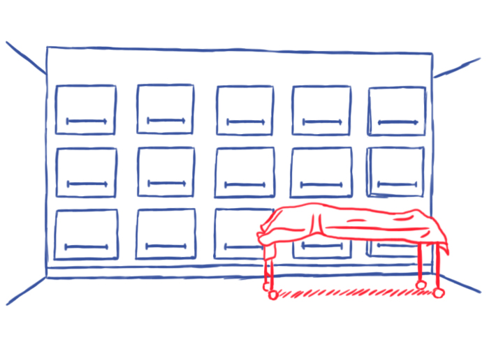 Виды моргов