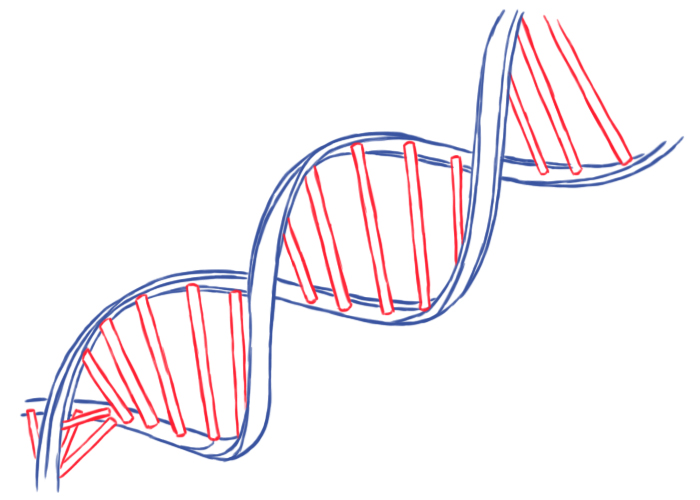 Генетическая экспертиза смертных останков