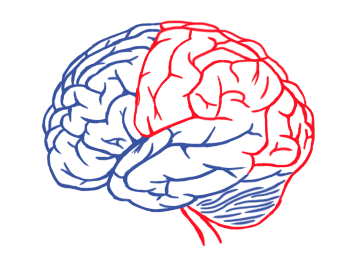 Мозговые ограничения на размышления о смерти