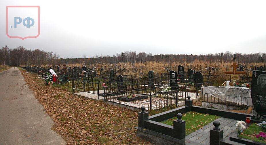 Товарищево-1