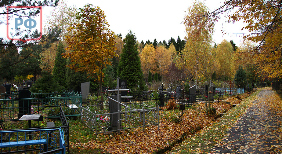 Анкудиновское